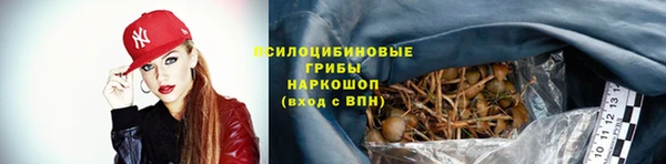 каннабис Уссурийск