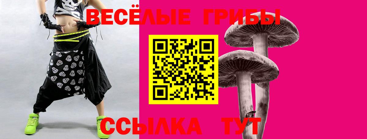 Галлюциногенные грибы GOLDEN TEACHER  Псилоцибиновые грибы прущие грибы  Вход с VPN  Чебаркуль 